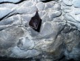 /album/velka-fatra-tlsta-ostra/a2012-velka-fatra-06-jpg/